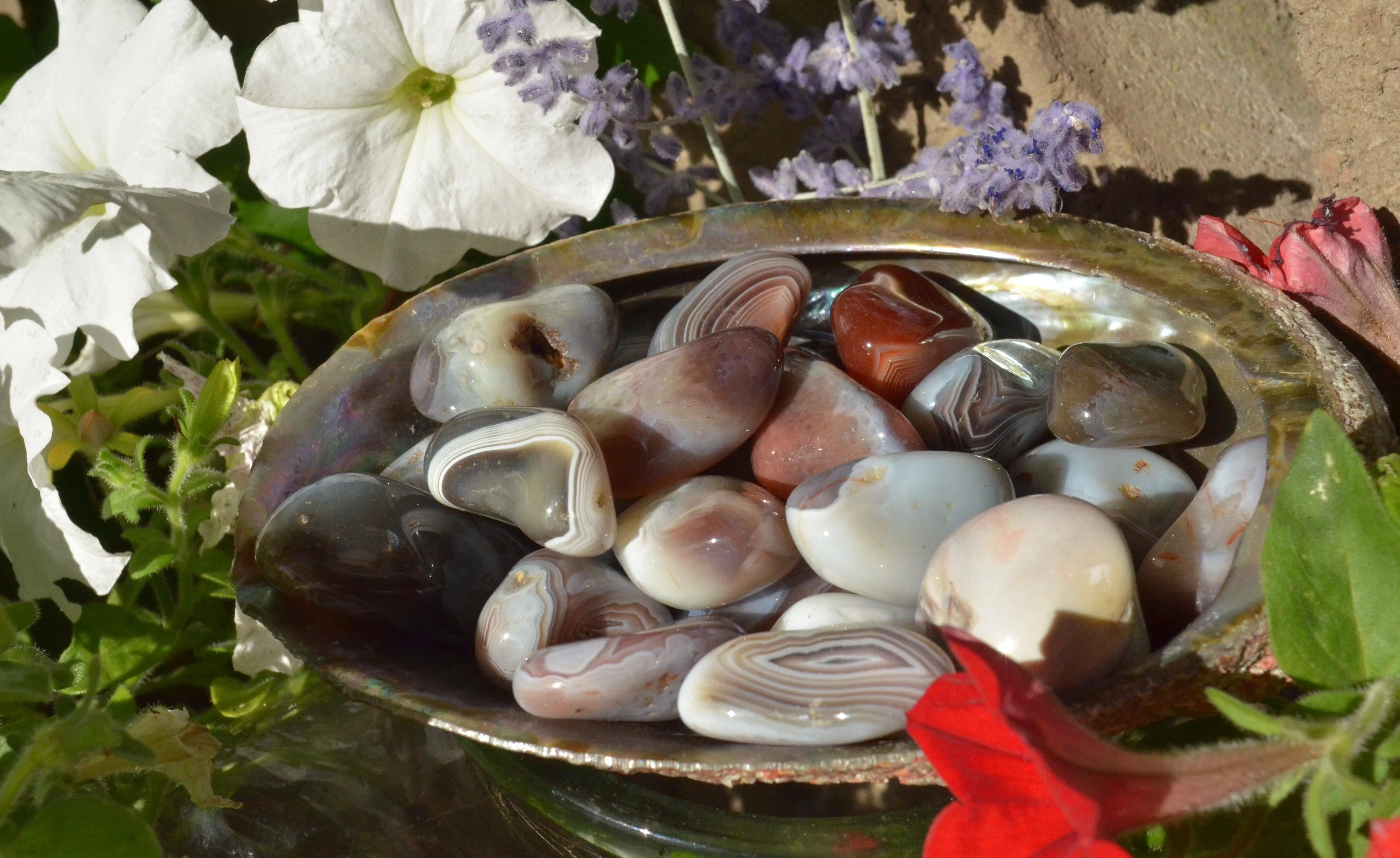 Gray Botswana Agate Tumbled Stones