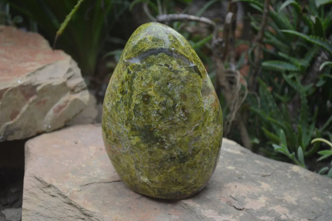 Natural Large Green Opal Standing Free Form  x 1 From Madagascar