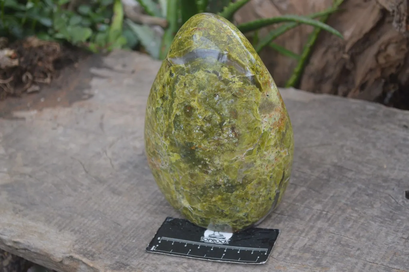 Natural Large Green Opal Standing Free Form  x 1 From Madagascar