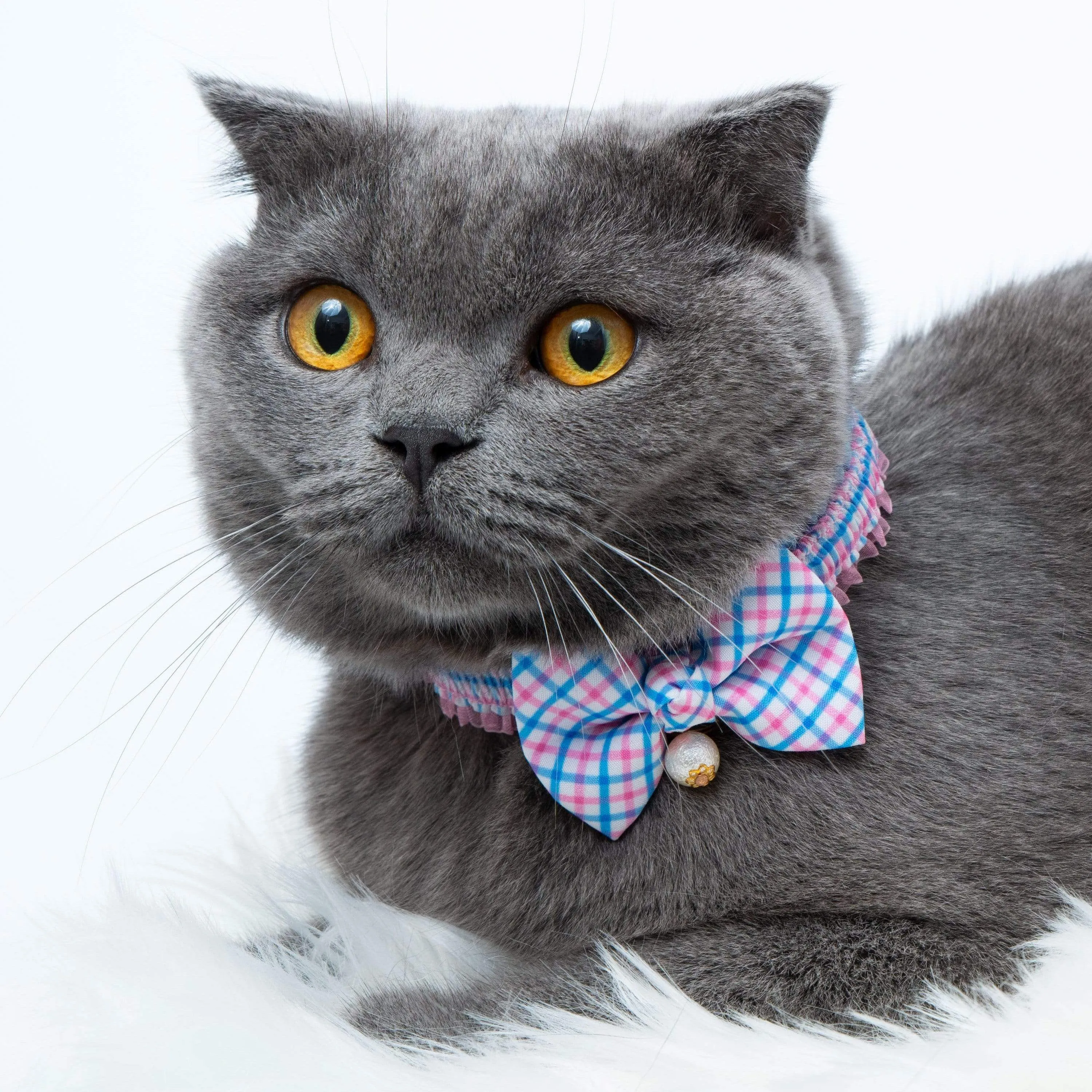 Plaid Bowtie Cat Collar with Pearl