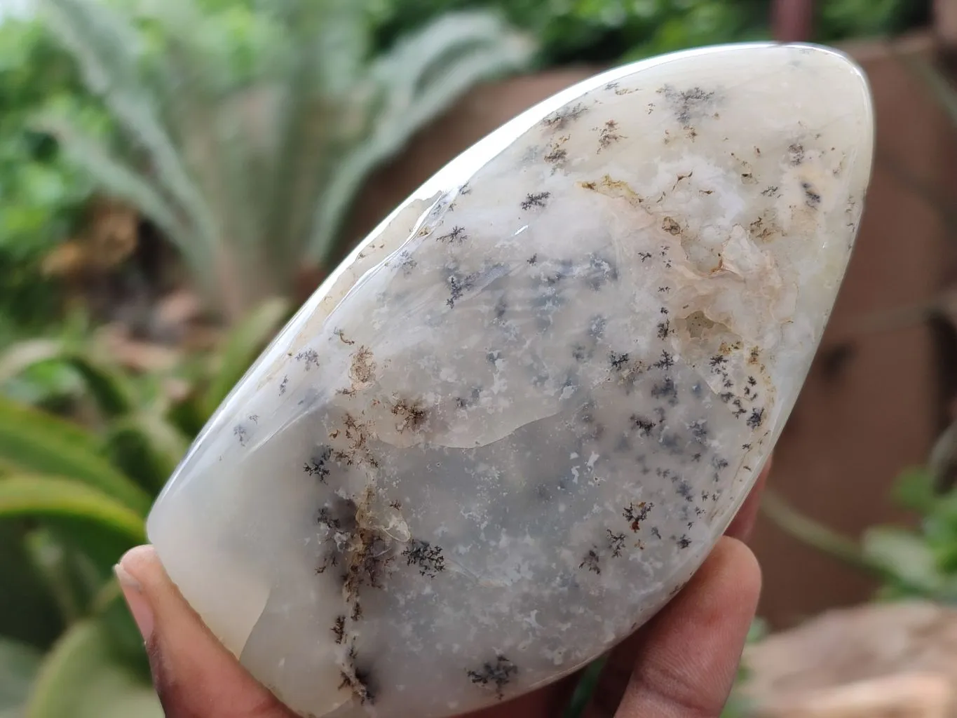 Polished Dendritic Opal Standing Free Forms x 2 From Madagascar