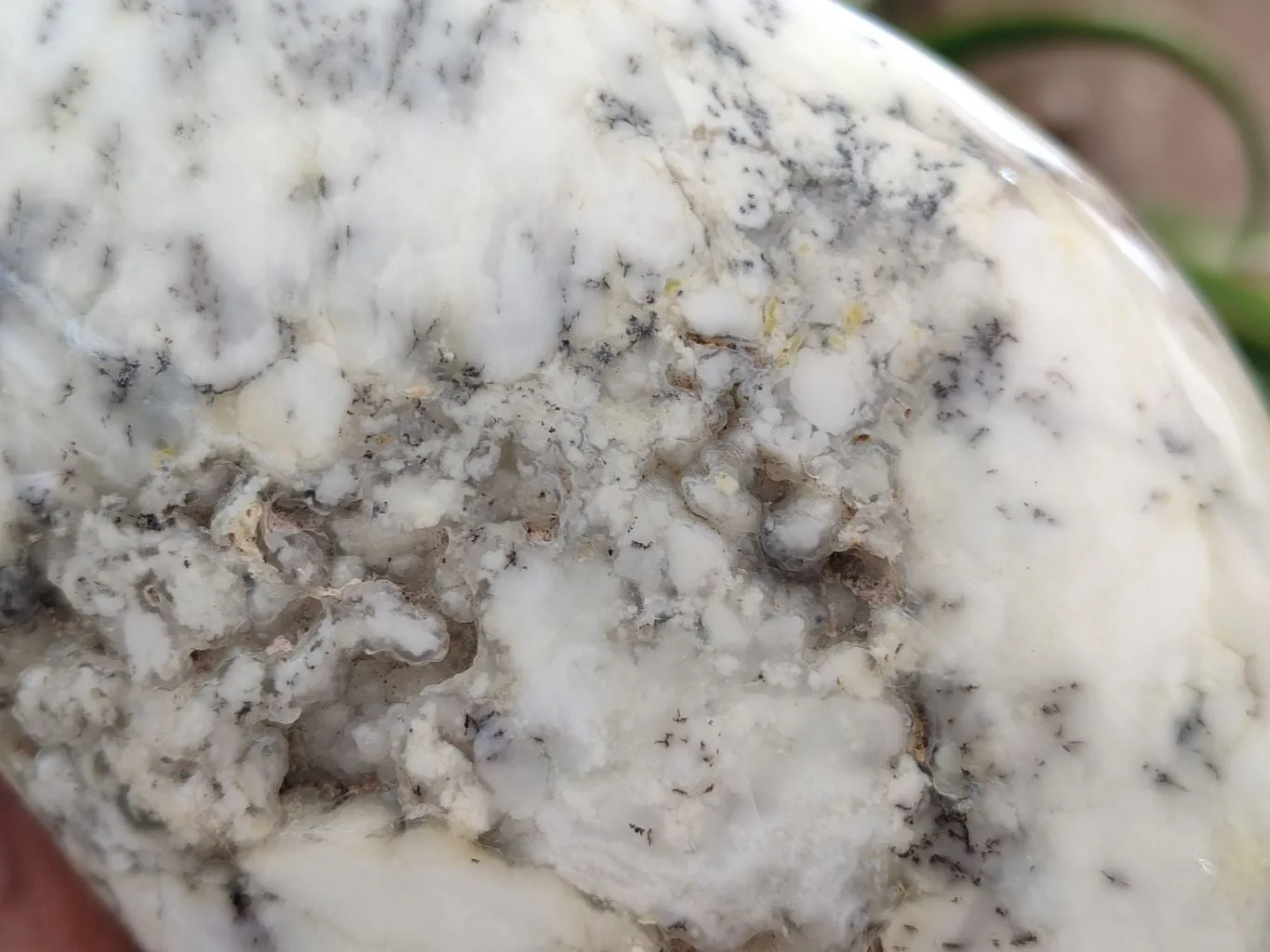 Polished Dendritic Opal Standing Free Forms x 2 From Madagascar