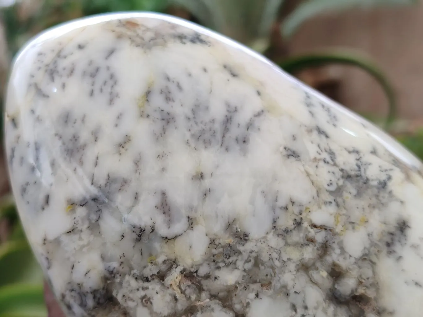 Polished Dendritic Opal Standing Free Forms x 2 From Madagascar