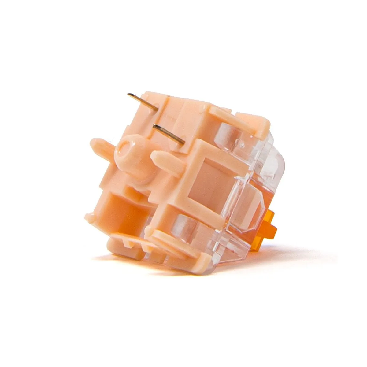 Tecsee Coral Tactile Switches